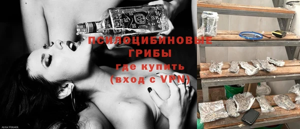 мяу мяу мука Алзамай
