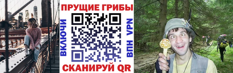 Псилоцибиновые грибы Psilocybe  Новоаннинский 